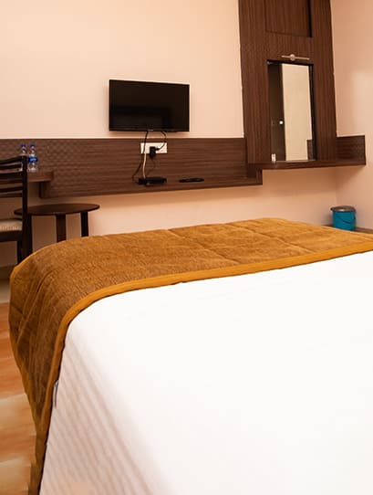 Deluxe Twin Room view 2