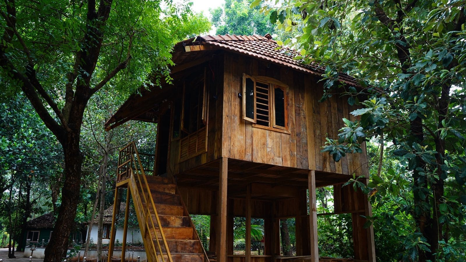 Eco-friendly Treehouse